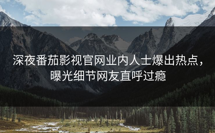 深夜番茄影视官网业内人士爆出热点，曝光细节网友直呼过瘾