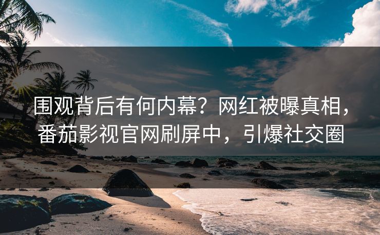 围观背后有何内幕？网红被曝真相，番茄影视官网刷屏中，引爆社交圈