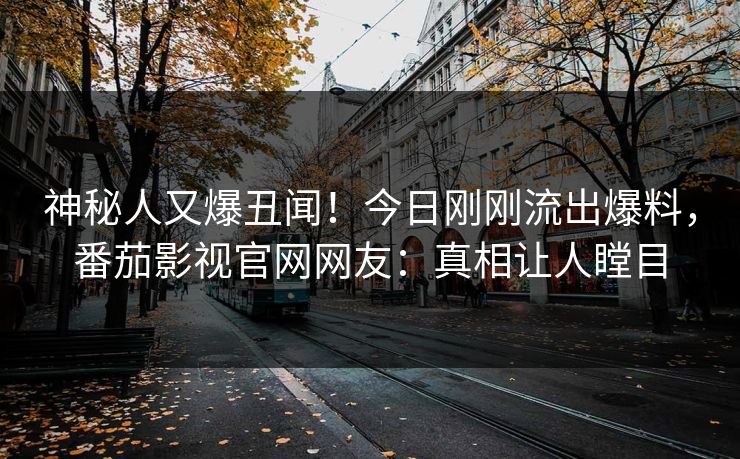 神秘人又爆丑闻！今日刚刚流出爆料，番茄影视官网网友：真相让人瞠目