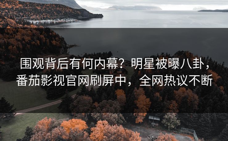 围观背后有何内幕？明星被曝八卦，番茄影视官网刷屏中，全网热议不断