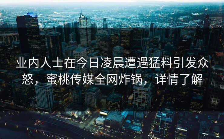 业内人士在今日凌晨遭遇猛料引发众怒，蜜桃传媒全网炸锅，详情了解