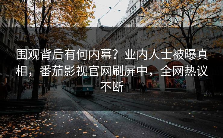 围观背后有何内幕？业内人士被曝真相，番茄影视官网刷屏中，全网热议不断